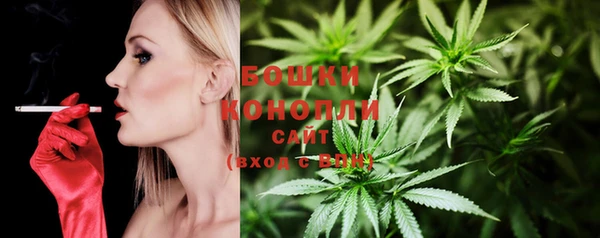 каннабис Новодвинск