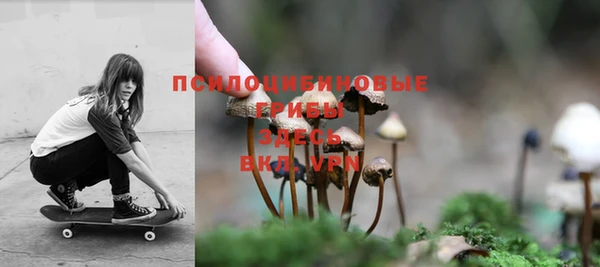 прущая мука Новозыбков