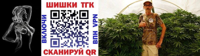 Бошки марихуана индика  Пустошка 